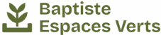 Logo vert Baptiste Espaces Verts. Le pictogramme végétal stylisé montre une jeune pousse sortant d'une jardinière, symbolisant l'aménagement paysager.